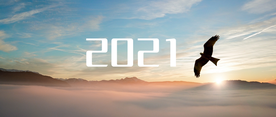 乘“峰”而上，智“盈”未来 ——2021年qy球友会环境高级资深副总裁新年开工动员